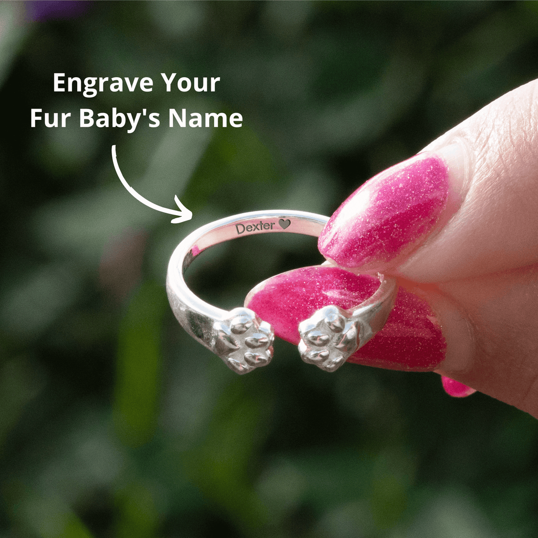 Ring Paw Hug