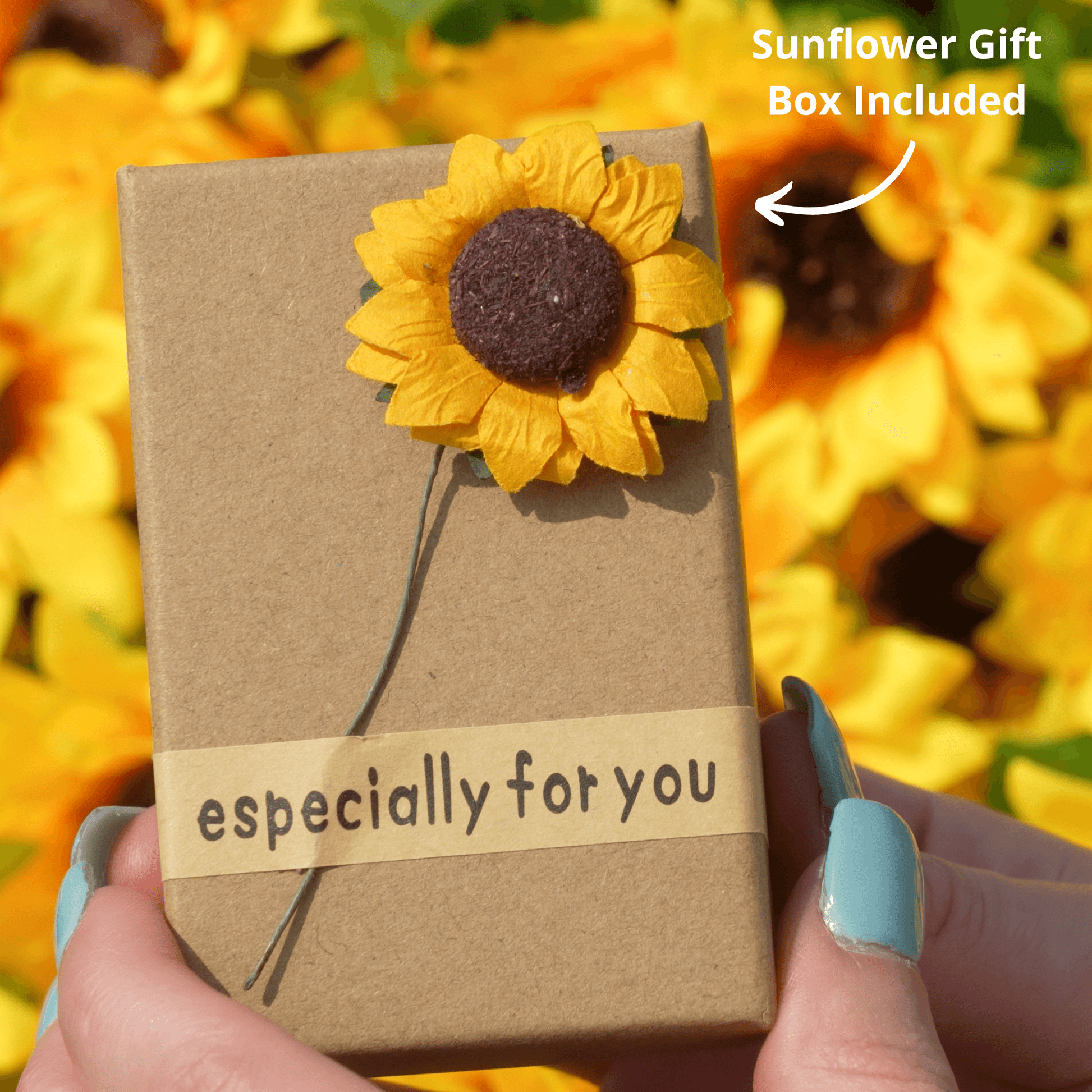 Spinning Ring You Are My Sunshine