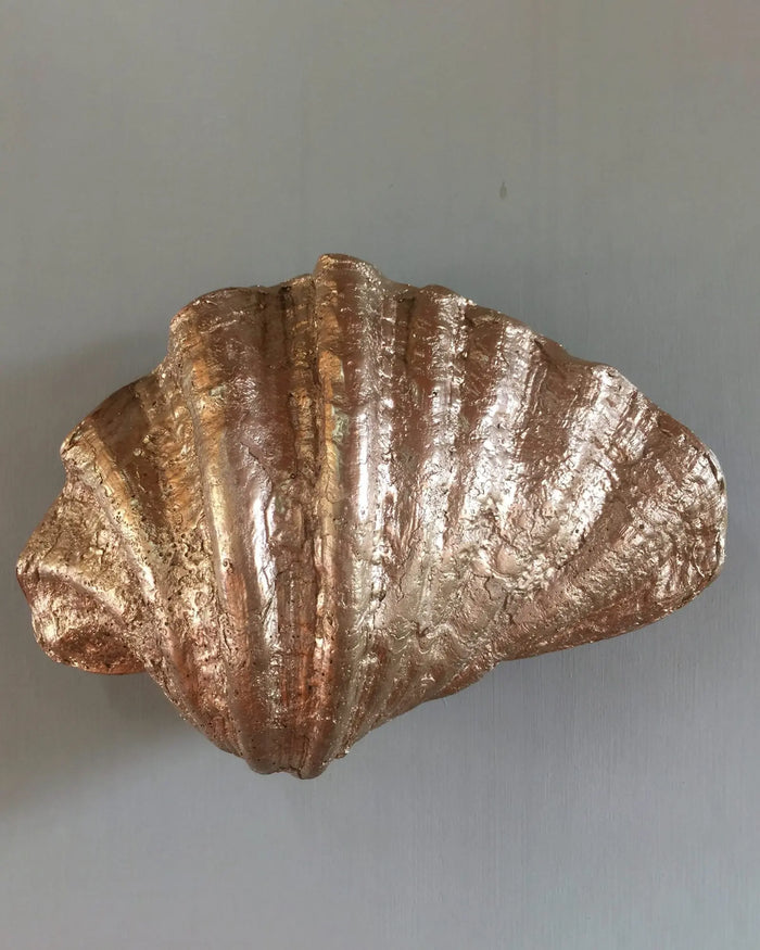 Curved Shell Wall Light
