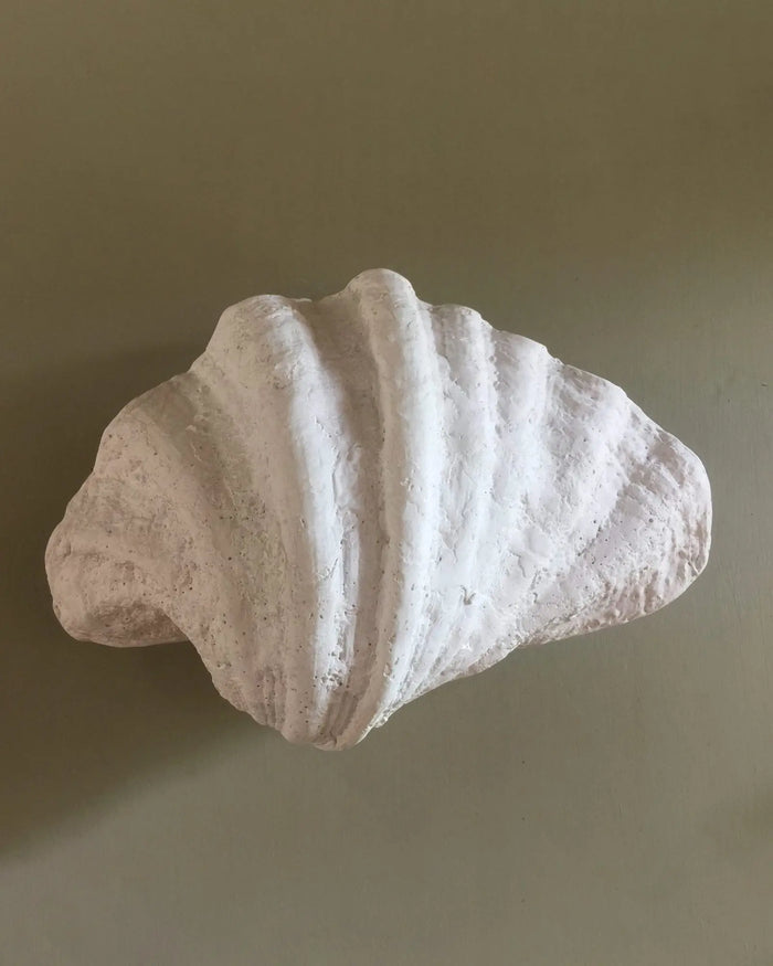 Curved Shell Wall Light