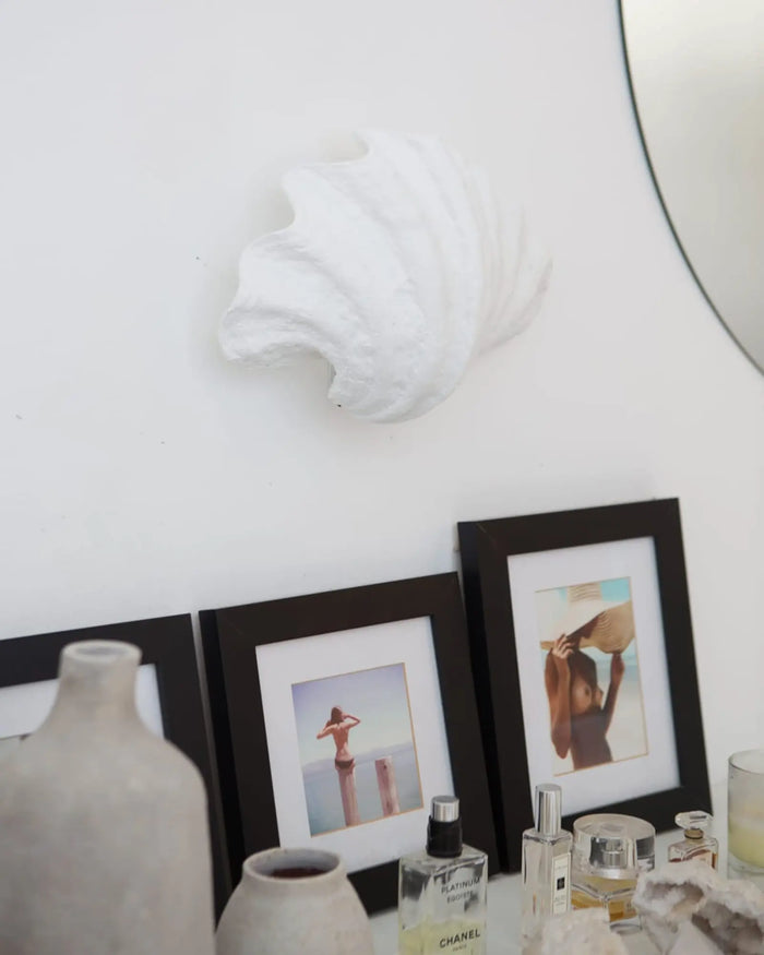 Curved Shell Wall Light