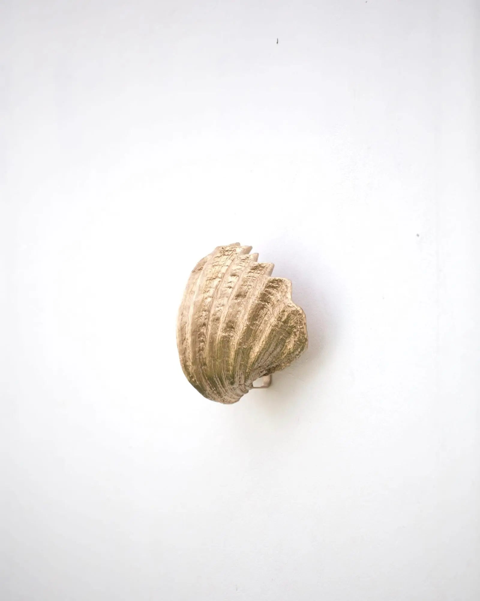 Curved Shell Wall Light