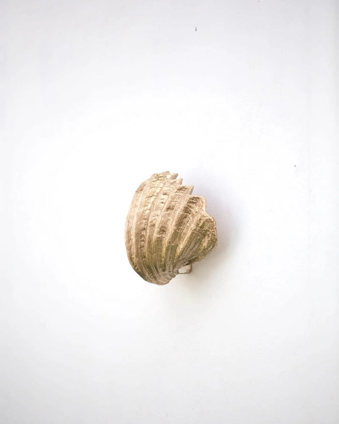 Curved Shell Wall Light