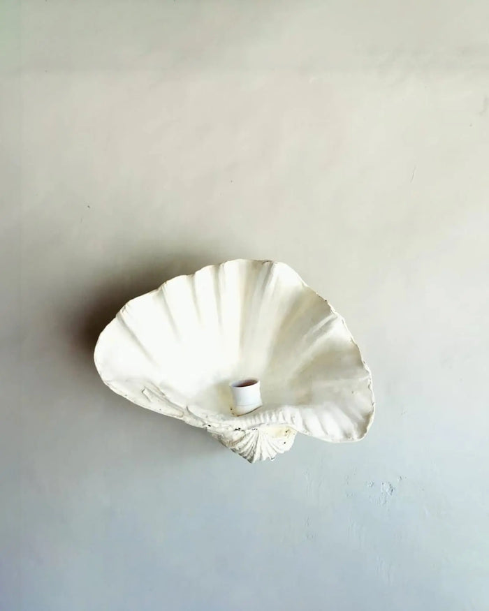 Curved Shell Wall Light