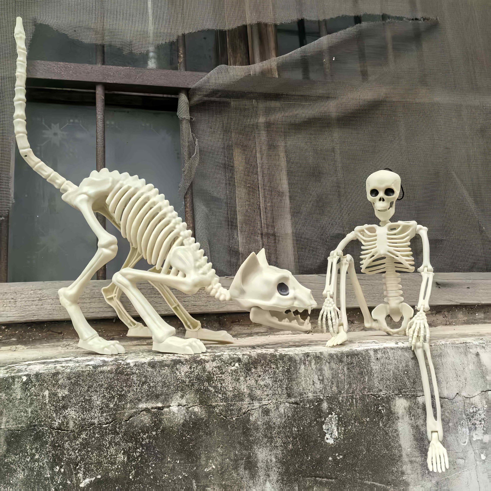 3pcs Skeleton Decoration Set for Halloween