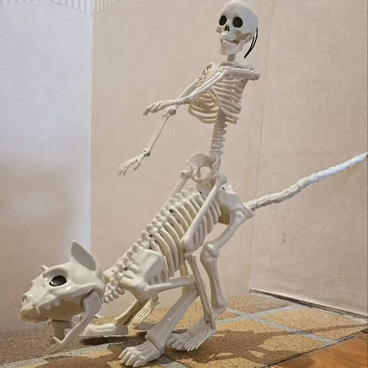 3pcs Skeleton Decoration Set for Halloween