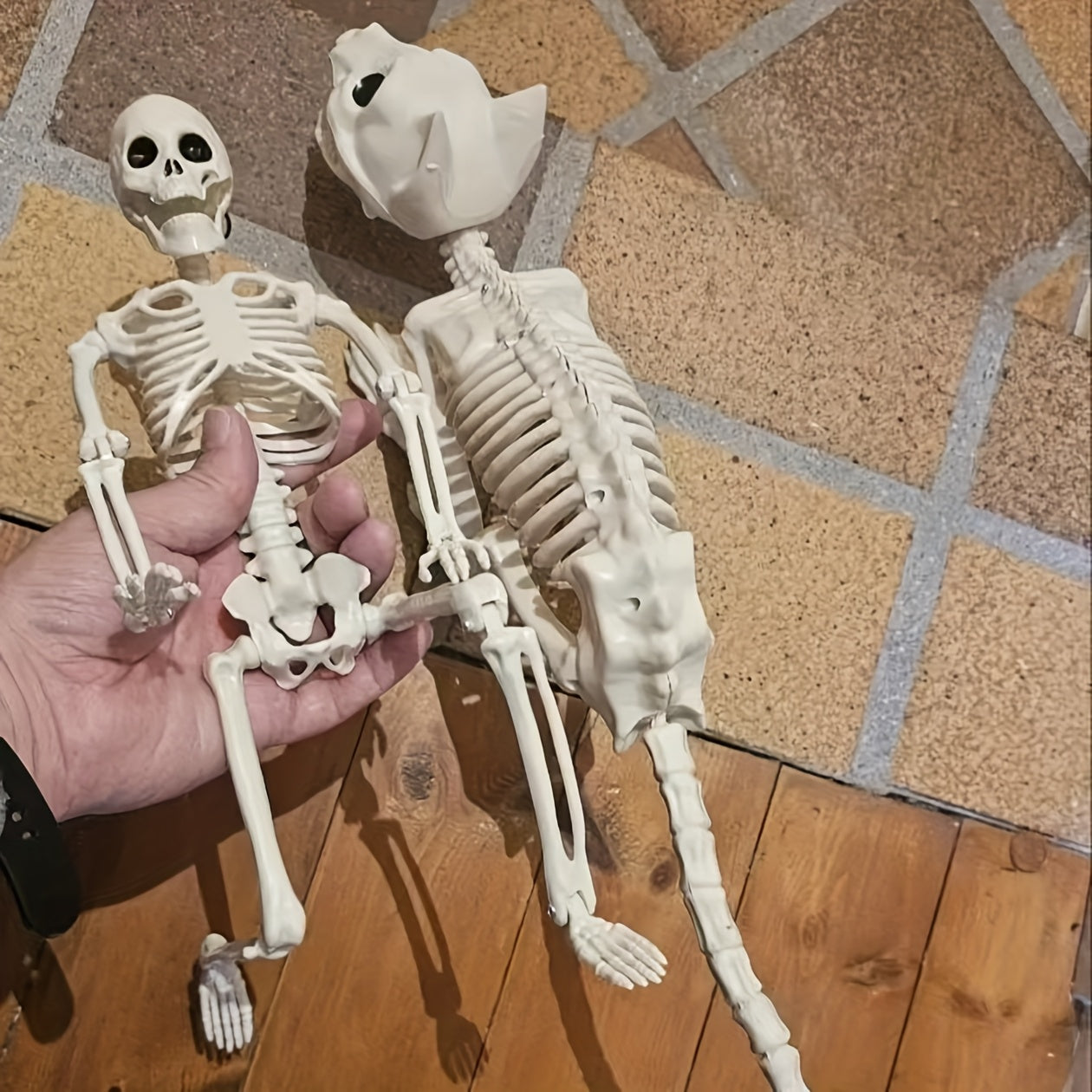 3pcs Skeleton Decoration Set for Halloween