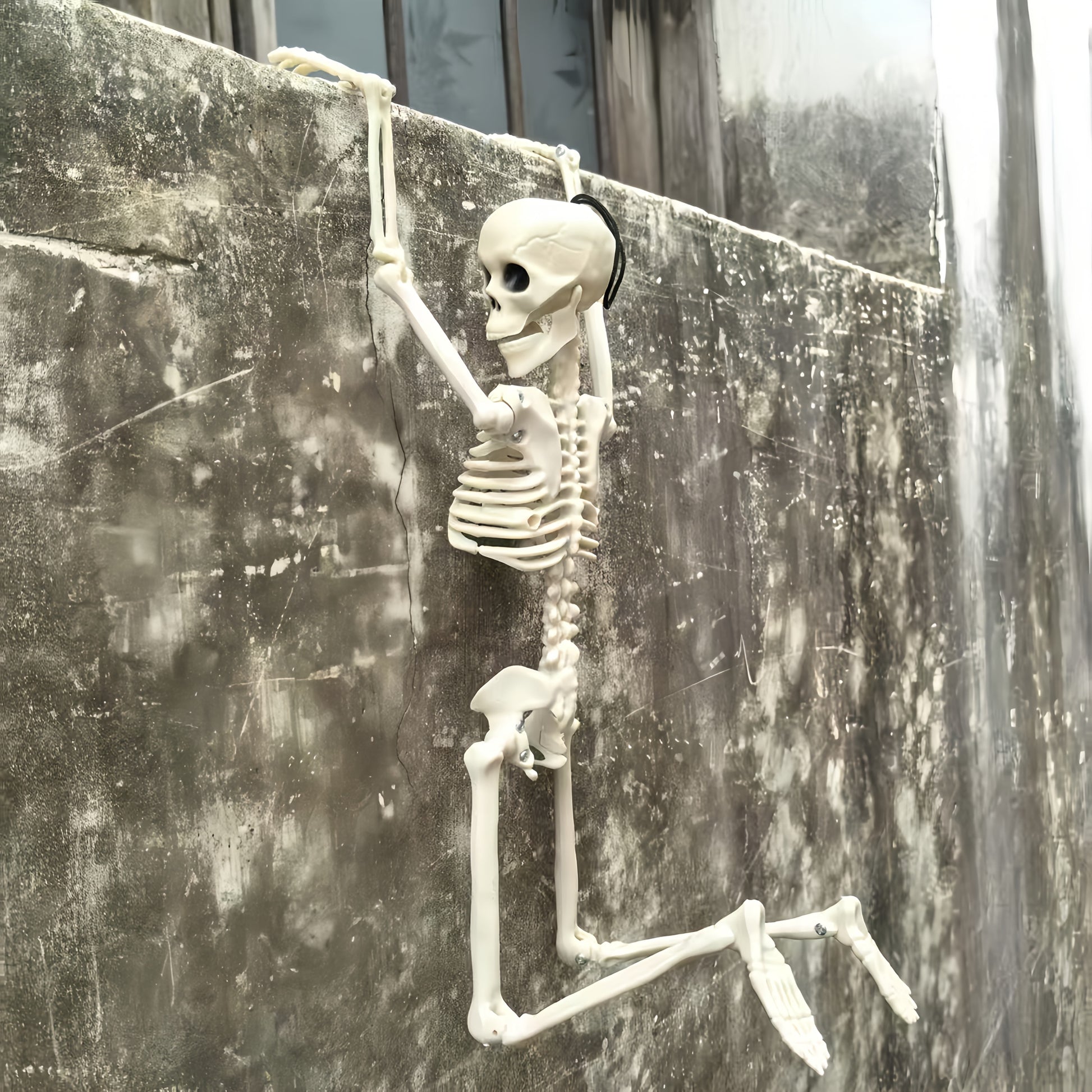 3pcs Skeleton Decoration Set for Halloween