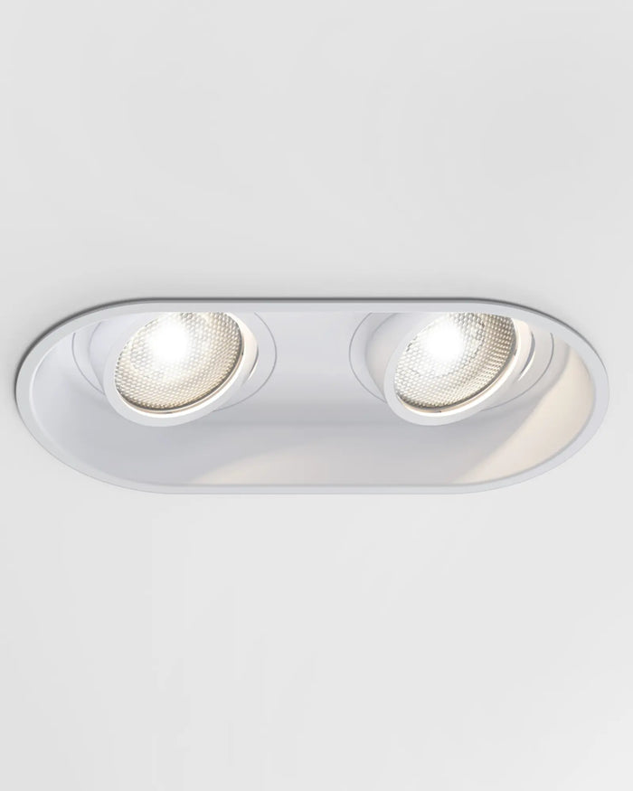 Twin Adjustable Recessed Downlight