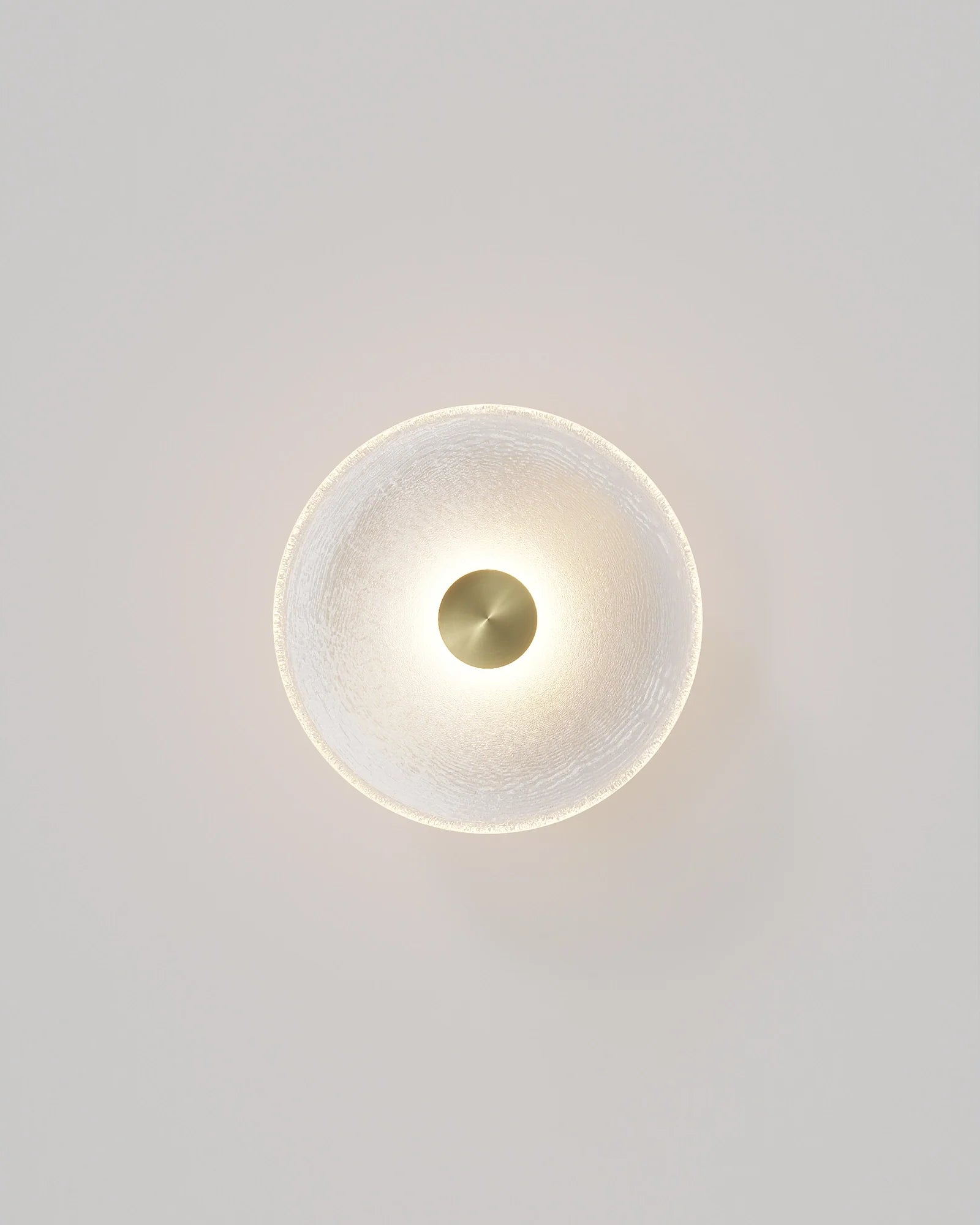 Frosted Glass Wall Light