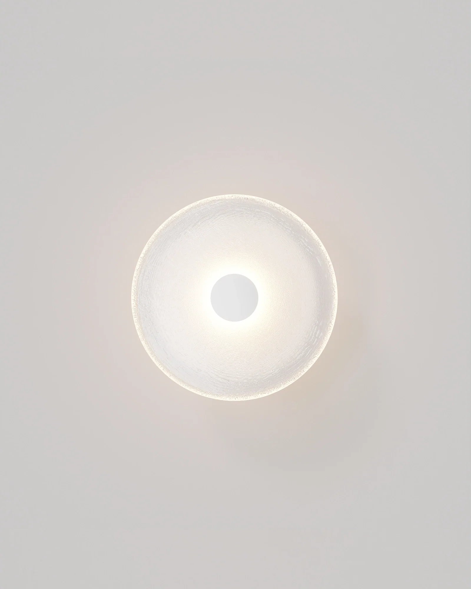Frosted Glass Wall Light