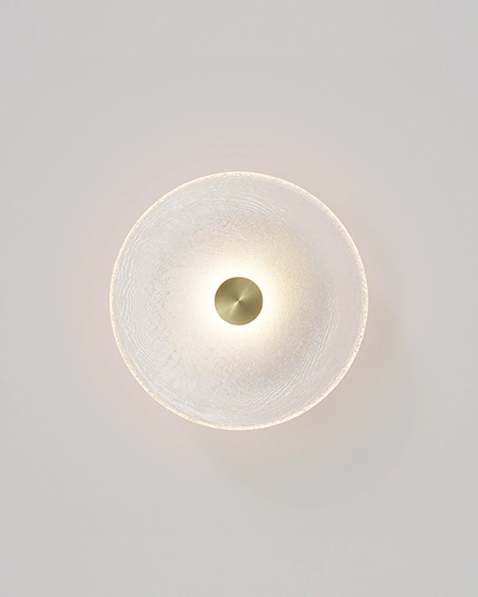 Frosted Glass Wall Light