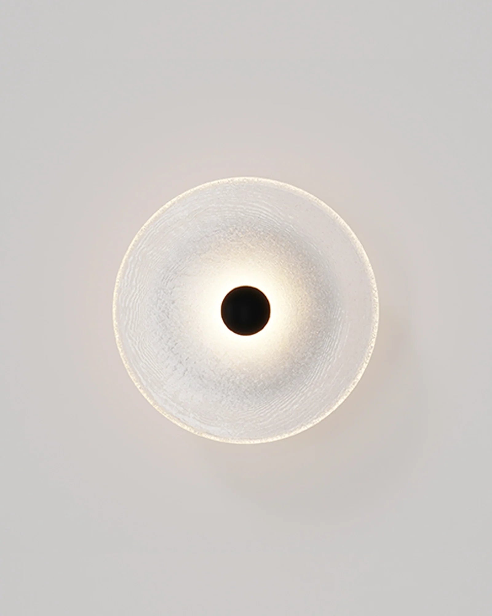 Frosted Glass Wall Light