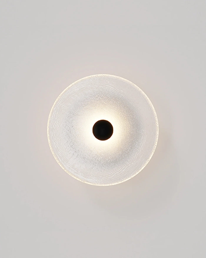Frosted Glass Wall Light