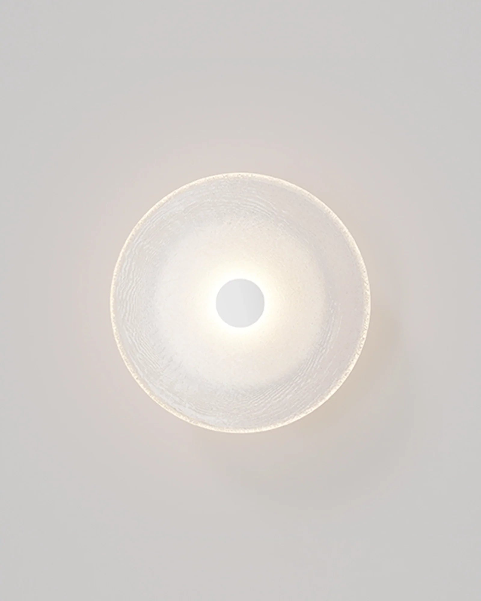 Frosted Glass Wall Light