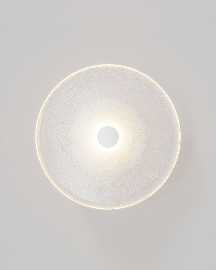 Frosted Glass Wall Light