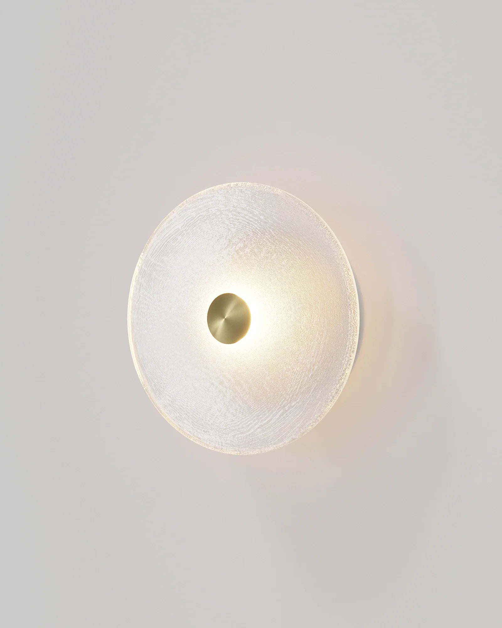 Frosted Glass Wall Light