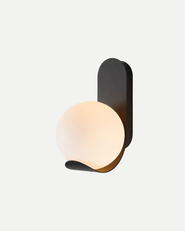 Versatile Outdoor Wall Light