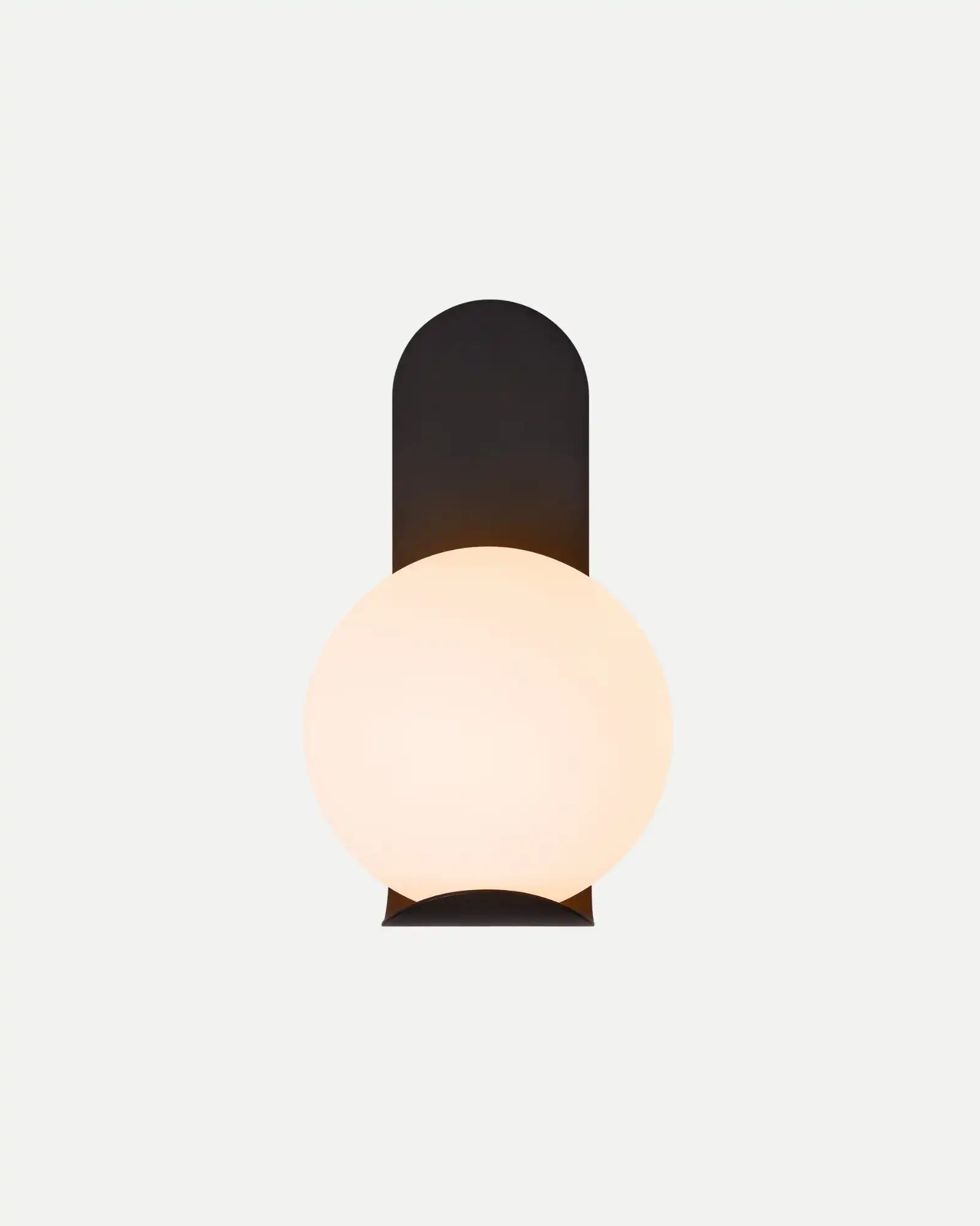 Versatile Outdoor Wall Light