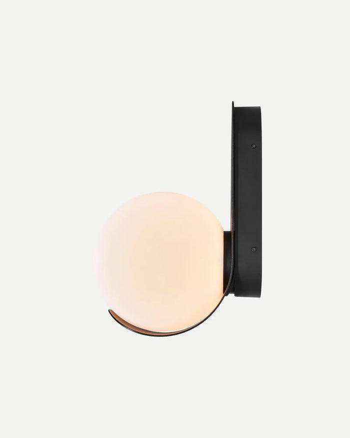 Versatile Outdoor Wall Light