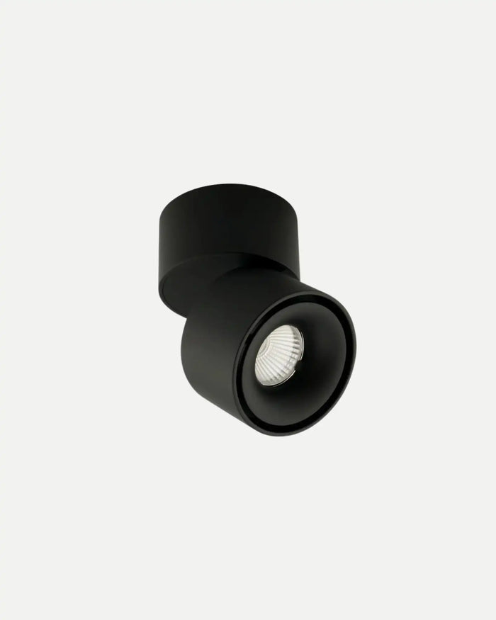 Mini Adjustable Ceiling Spot Light