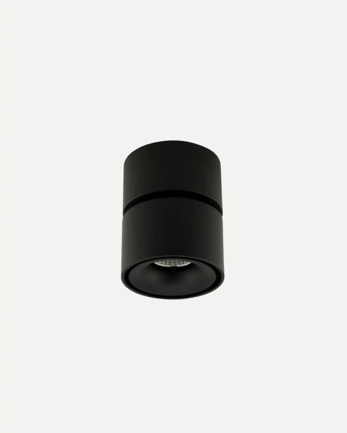 Mini Adjustable Ceiling Spot Light