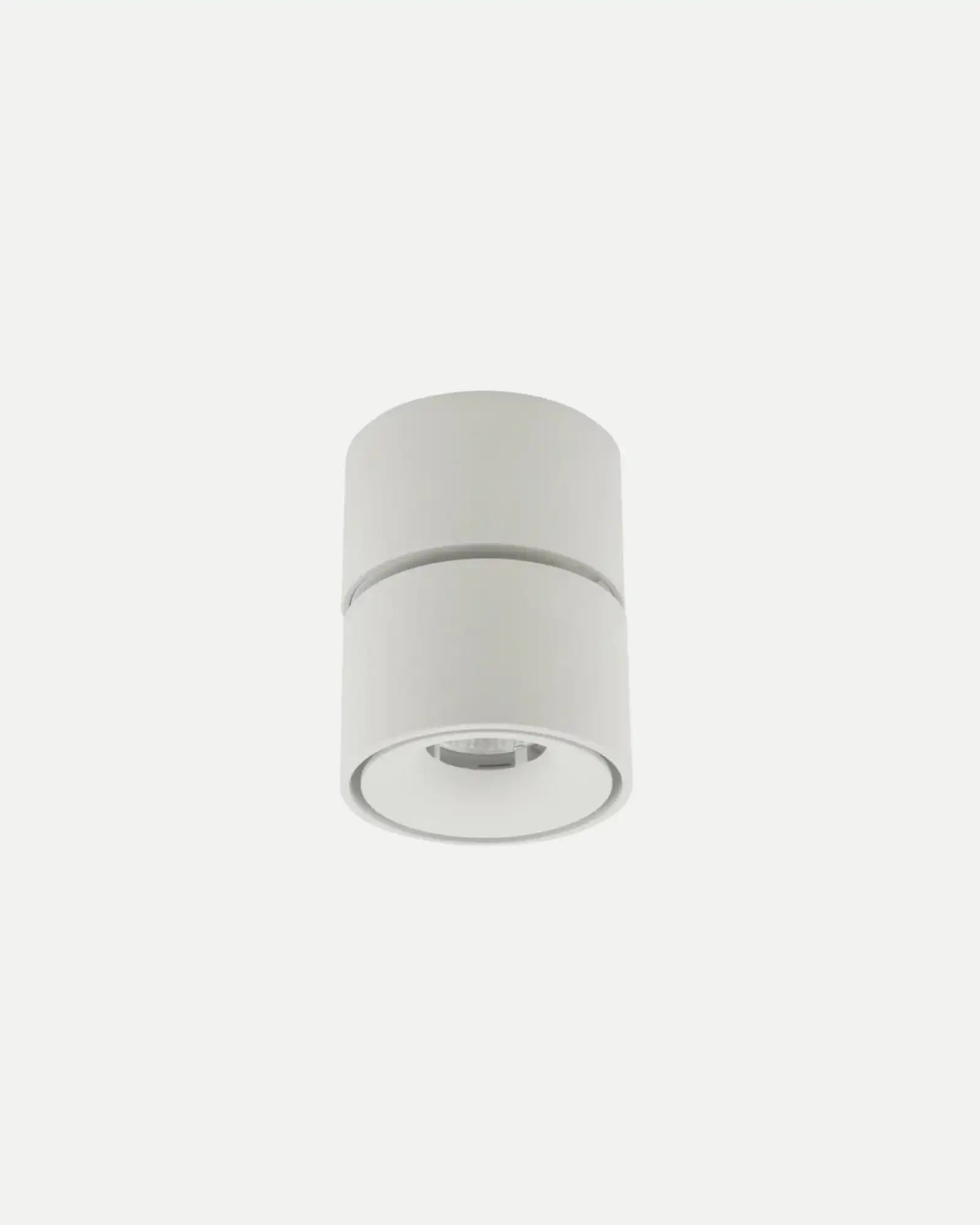 Mini Adjustable Ceiling Spot Light