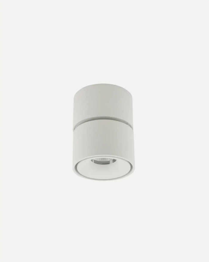 Mini Adjustable Ceiling Spot Light