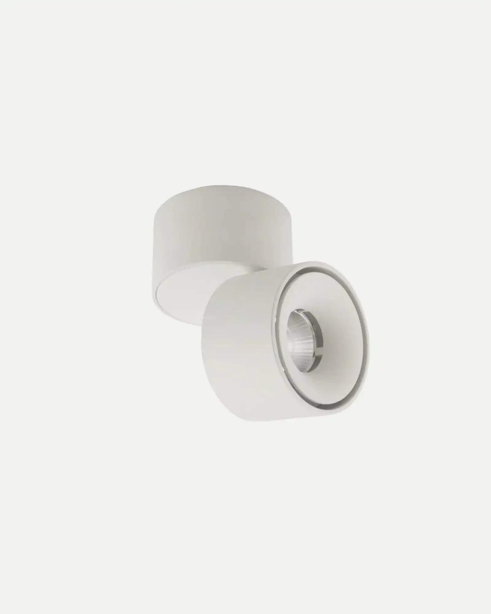 Mini Adjustable Ceiling Spot Light
