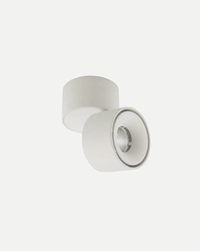 Mini Adjustable Ceiling Spot Light