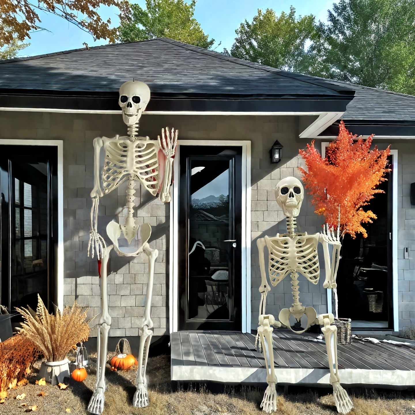 6 Ft Halloween Skeleton Decoration that is Posable for Outdoor Use