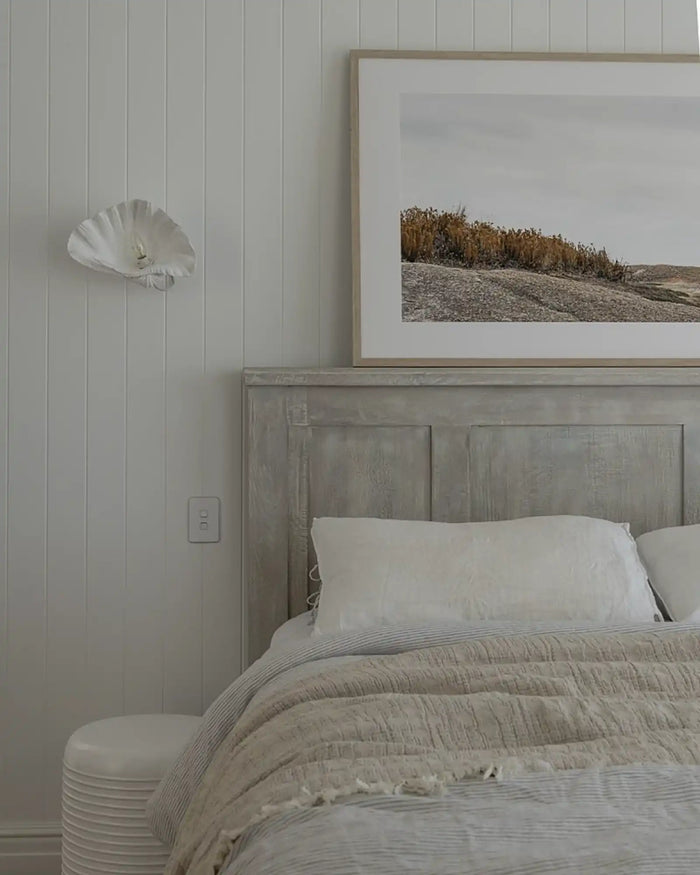 Curved Shell Wall Light